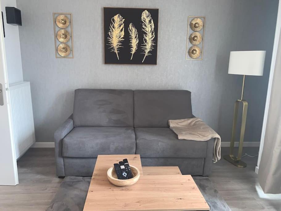 סאריס Superbe Appartement Tres Confortable מראה חיצוני תמונה