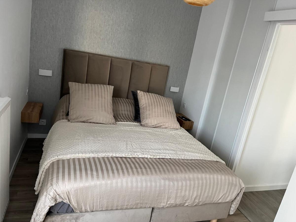 סאריס Superbe Appartement Tres Confortable מראה חיצוני תמונה
